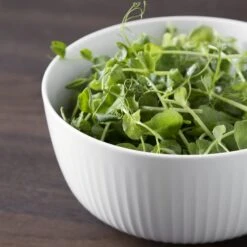 Kähler Hammershøi Schale Ø21cm -Geschirrverkauf 26628 01 03 73f15a2654