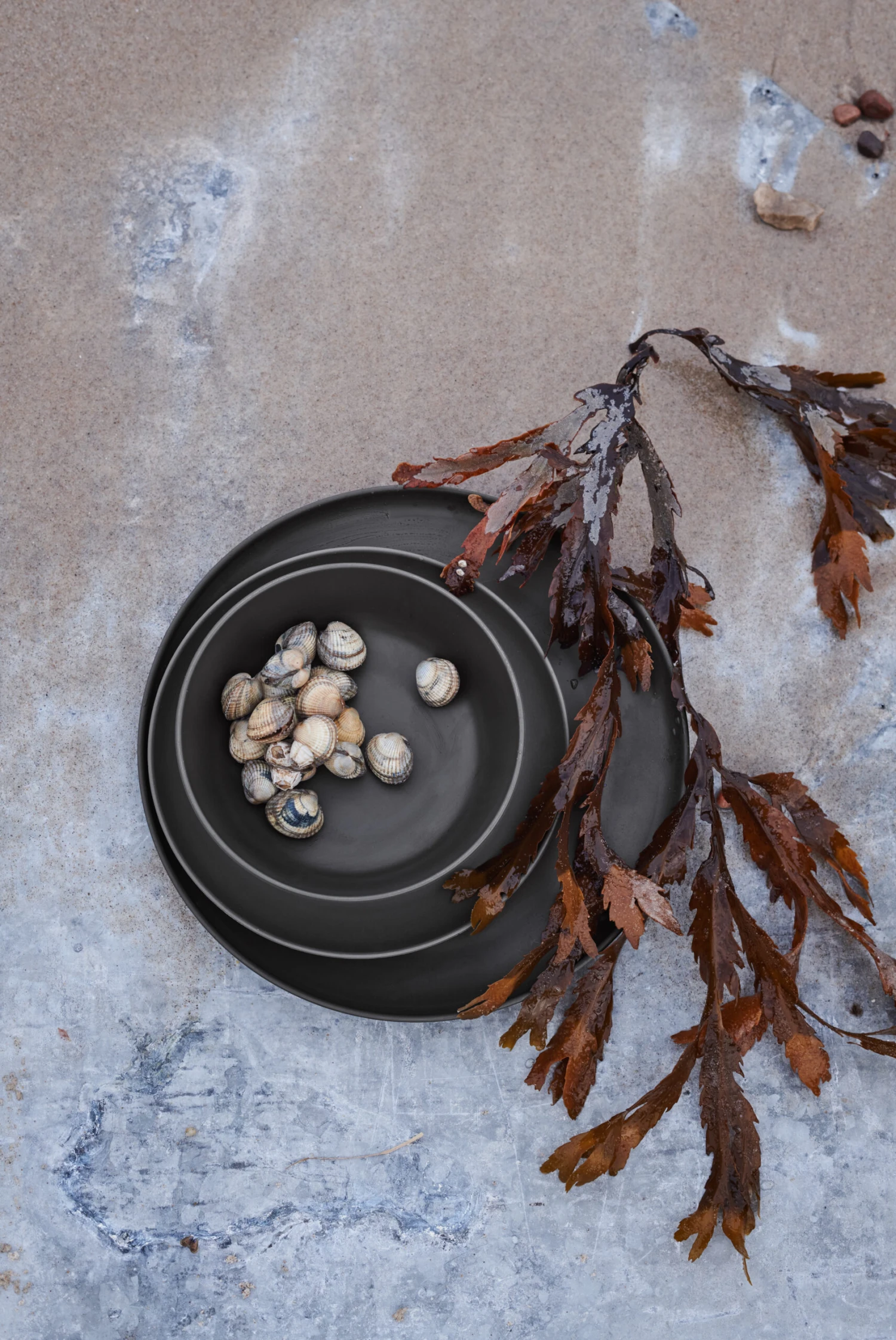 Rosendahl Grand Cru Take Kleiner Teller Ø19,5cm 2er Pack 6 Rosendahl Grand Cru Take Kleiner Teller Ø19,5cm 2er Pack – Bild 6