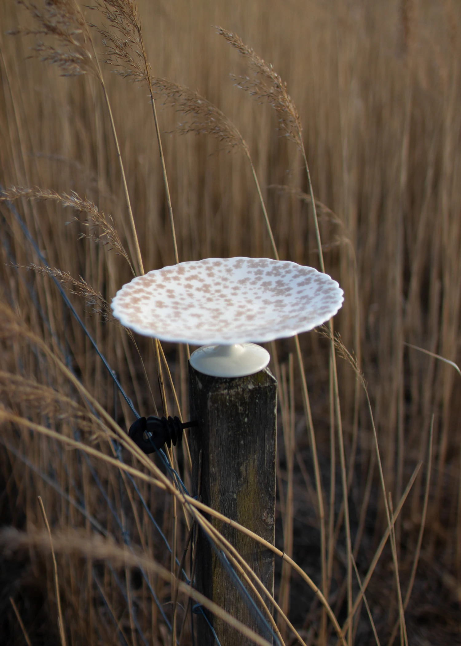 Slåpeblom Tortenteller Ø21cm 2 Slåpeblom Tortenteller Ø21cm – Bild 2
