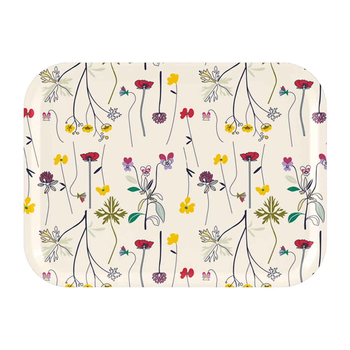 Herbarium Tablett 20 X 27cm 1 Herbarium Tablett 20 X 27cm