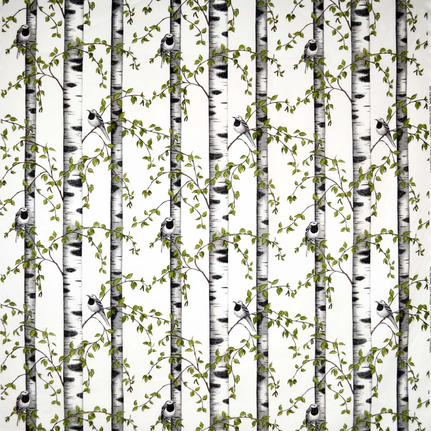 Björkdungen Wachstuch 1 Björkdungen Wachstuch