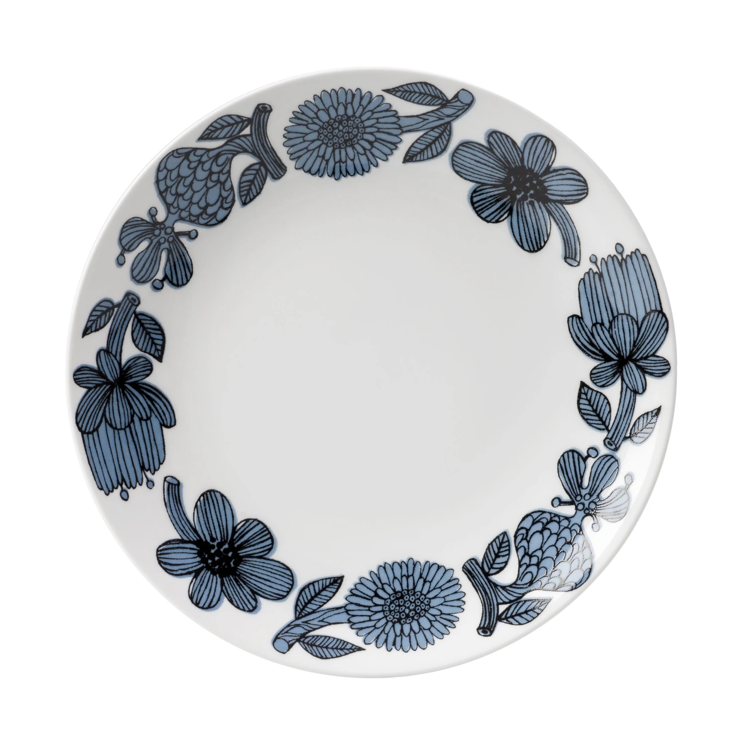 Blå Aster Teller 1 Blå Aster Teller